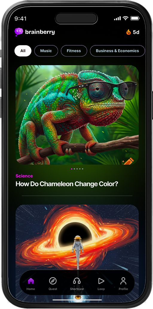 Brainberry app